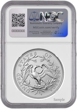 2024 Silver Medal Flowing Hair 230th Anniversary AR NGC MS70 Harrigal