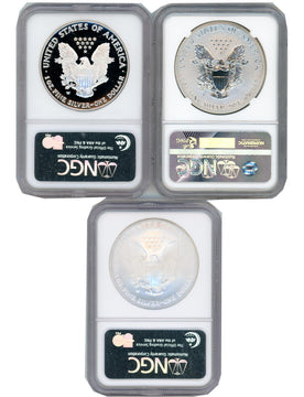 2006 Silver Eagle 20th Anniversary 3pc Set NGC PF70 MS70