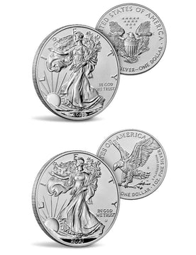 2021-S 2021-W 2pc Silver Eagle Set Reverse Proof Type 1 & 2 Designer Edition FS PCGS PR70