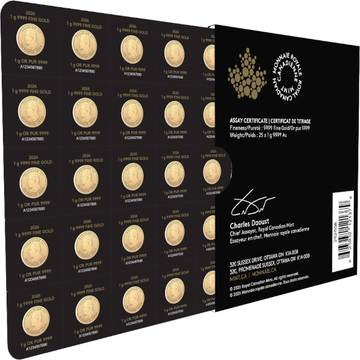 2026 25 GRAM GOLD MAPLEGRAM