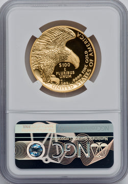 2019-W $100 High Relief Enhanced SP DMPL NGC MS70