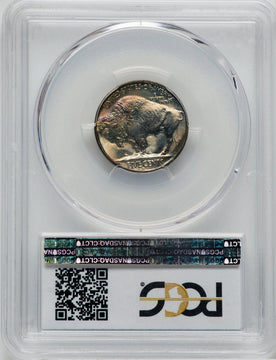 1938-D 5C Buffalo CAC Buffalo Nickel PCGS MS67+