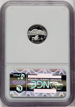 2002-W $10 Tenth-Ounce Platinum Eagle NGC PF70 (764207004)