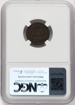 1877 1C BN Indian Cent Details NGC VG8