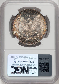 1882-S Morgan Dollar NGC MS67