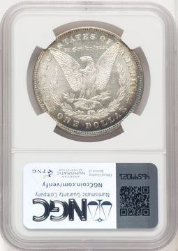 1878 7TF Reverse of 1878 Morgan Dollar NGC MS65
