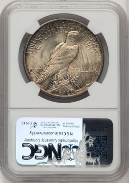 1921 Peace Dollar NGC MS65+ (773681006)