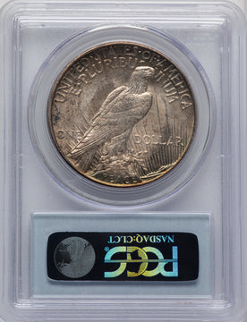 1921 Peace CAC Peace Dollar PCGS MS63