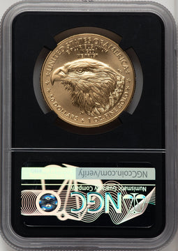 2023-W Burnished Gold Eagle 1 oz FDI Jennie Norris Blk Core NGC MS70 (520467028)