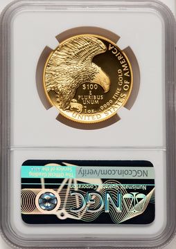 2019-W G$100 American Liberty High Relief Enhanced FDI Mike Castle NGC MS70
