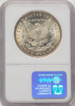 1881-CC Morgan Dollar NGC MS65 (775821184)