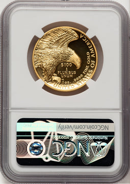 2019-W G$100 American Liberty High Relief Enhanced UC Mike Castle NGC MS70 (521292048)