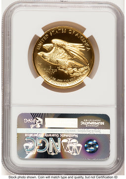 2015-W G$100 American Liberty High Relief ER Angela Buchanan NGC MS70