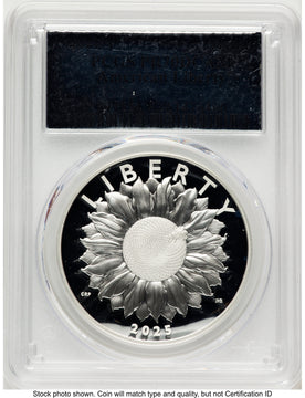 2025-P Silver American Liberty High Relief Medal Silver Foil Medals and Tokens PCGS MS70 2025-P Silver American Liberty High Relief Medal Silver Foil Medals and Tokens PCGS MS70