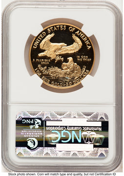 1993-W Proof Gold Eagle 1 oz Brown Label NGC PF70 (522240164)