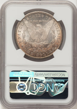 1881-CC Morgan Dollar NGC MS66 (522469024)