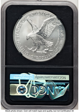 2021-W TY2 Burnished Silver Eagle 1 oz FDI Michael Gaudioso NGC MS70 2021-W TY2 Burnished Silver Eagle 1 oz FDI Michael Gaudioso NGC MS70