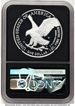 2021-W TY2 Proof Silver Eagle 1 oz FDI Michael Gaudioso Eagle Flag NGC PF70