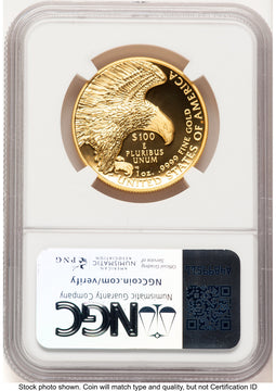 2019-W G$100 American Liberty High Relief Enhanced UC Red Book NGC MS70 (776793002)