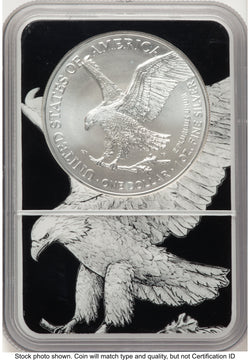 2021 Silver Eagle Type 2 Black Silver Eagle Core Overlay/Label NGC MS70