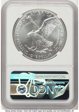 2021 Silver Eagle Type 2 FR Michael Gaudioso Eagle Art NGC MS70