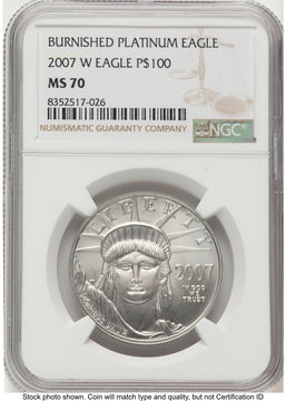2007-W Burnished Platinum Eagle 1 oz Brown Label NGC MS70