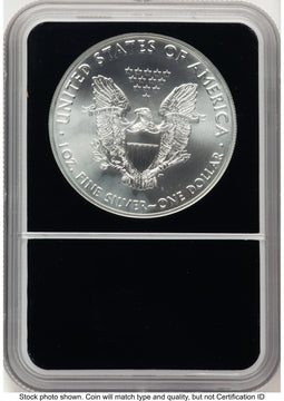 2021 Silver Eagle Type 1 Black Silver Eagle Core Overlay/Label NGC MS70