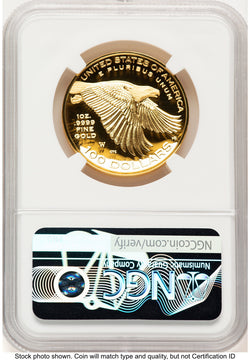 2017-W G$100 American Liberty High Relief Brown Label NGC PF70 (780121013)