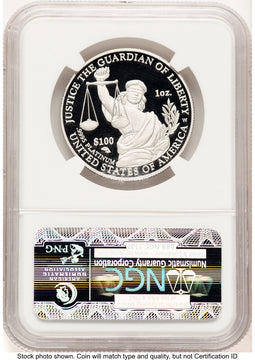 2010-W Proof Platinum Eagle 1 oz Brown Label NGC PF70