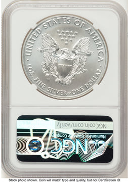2019-W Burnished Silver Eagle 1 oz Mike Castle NGC MS70 2019-W Burnished Silver Eagle 1 oz Mike Castle NGC MS70