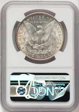 1904 Morgan Dollar NGC MS64 (781774015)