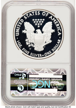 2010-W Proof Silver Eagle 1 oz Brown Label NGC PF70