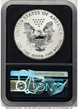 2019-S Enhanced Reverse Proof Silver Eagle 1 oz FDI 1ST NGC PF70 2019-S Enhanced Reverse Proof Silver Eagle 1 oz FDI 1ST NGC PF70