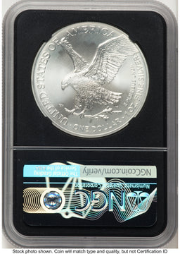 2021 Silver Eagle Type 2 FDI Anna Cabral US Treasurer's Collection Series NGC MS70 2021 Silver Eagle Type 2 FDI Anna Cabral US Treasurer's Collection Series NGC MS70