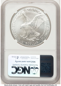 2025-(P) Silver Eagle (Privy Mark) FDI Michael Gaudioso Eagle Art NGC MS70 2025-(P) Silver Eagle (Privy Mark) FDI Michael Gaudioso Eagle Art NGC MS70