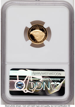 2021-W Type 2 Proof Gold Eagle 1/10 oz FDI 1ST NGC PF70 2021-W Type 2 Proof Gold Eagle 1/10 oz FDI 1ST NGC PF70