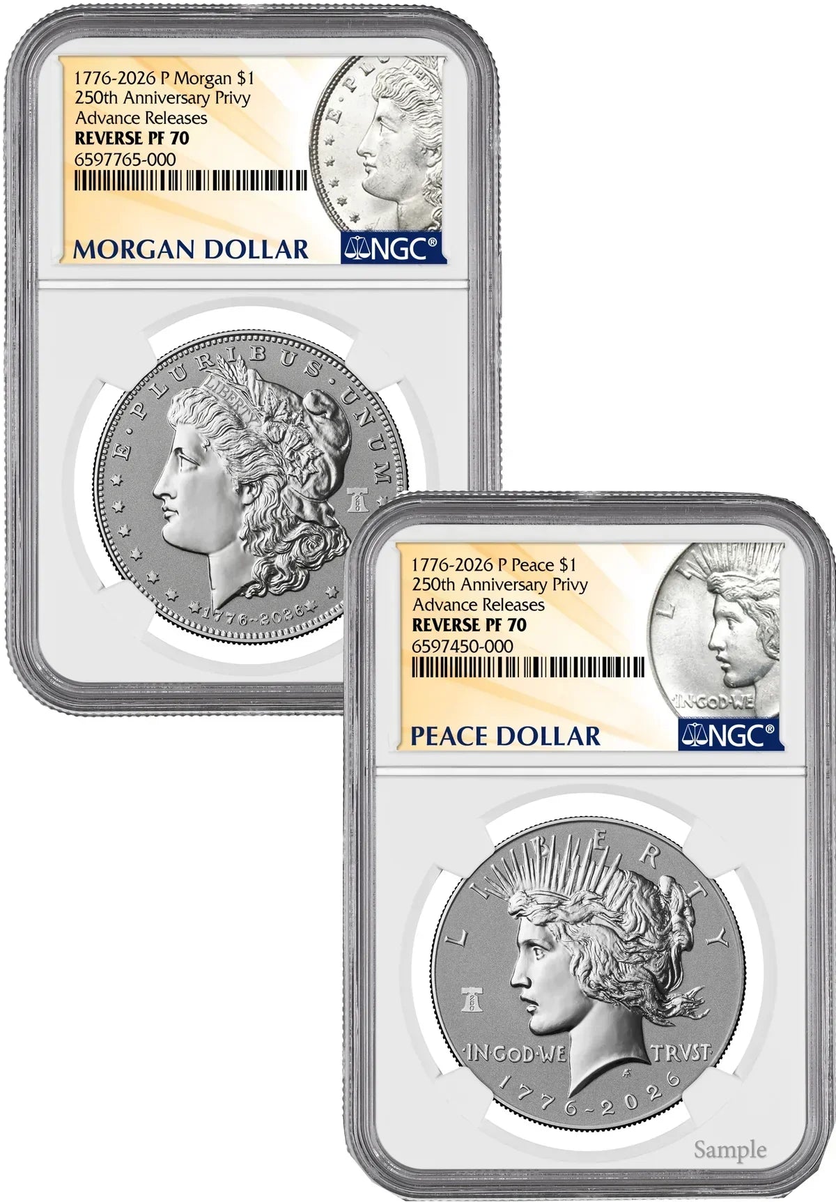 2026 Morgan and Peace Dollar Reverse Proof Set: Everything Collectors Need to Know