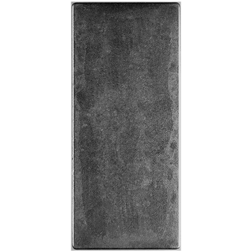 100 oz Royal Canadian Mint Silver Bar