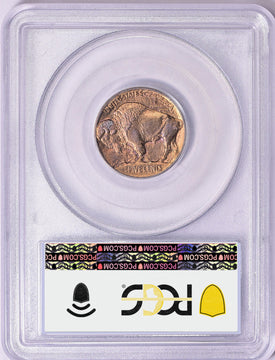 1913 Buffalo Nickel Type 1 PCGS PR66 Toned
