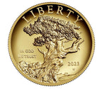 2023-W American Liberty Series High Relief .9999 Fine 1st FDI NGC PF70