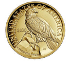 2023-W American Liberty Series High Relief .9999 Fine ANA First Day NGC PF70