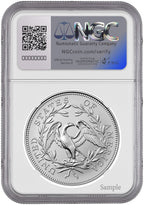 2024 Silver Medal Flowing Hair 230th Anniversary AR NGC MS70 Harrigal
