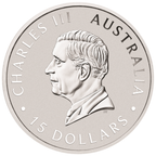 2024 1/10 OZ PLATINUM KOALA