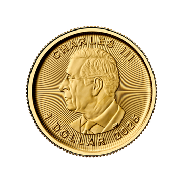 2025 1/20 OZ CANADIAN GOLD MAPLE LEAF