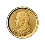 2025 1/20 OZ CANADIAN GOLD MAPLE LEAF