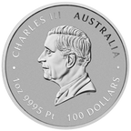 2026 1 OZ PERTH MINT PLATINUM HORSE (LUNAR SERIES)