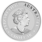 2021 1 oz Australian Silver Kangaroo Coin