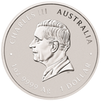 2026 1 OZ PERTH MINT SILVER HORSE (LUNAR SERIES)