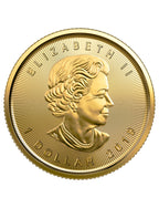 2019 1/20 oz Canadian Gold Maple Leaf Coin
