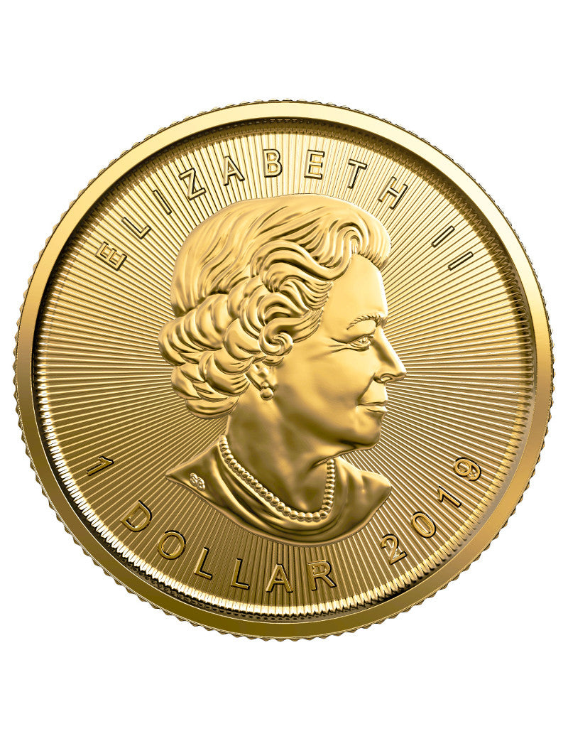 2019 1/20 oz Canadian Gold Maple Leaf Coin